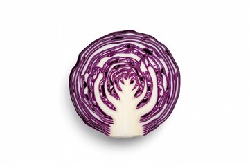Fototapeta premium Half-cut purple cabbage against a plain white backdrop