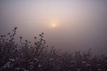 Obraz premium Misty landscape featuring mountains and floral elements in gray tones