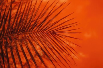 Obraz premium Close-up of vibrant orange palm leaf abstract