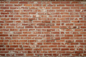 Obraz premium Expansive vintage wall surface panorama. Interior decoration background for office or residence