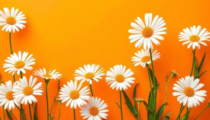 Bold graphic daisies, vibrant orange background, playful summer, whimsical style, whimsical, retro