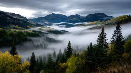 Fototapeta premium A misty autumn morning where golden forests glow in he early light, with fog sowly clearing over distantmountain peaks.