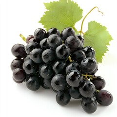 Dark purple grapes cluster, wet with water droplets, isolated on white background. Lush green leaves attached