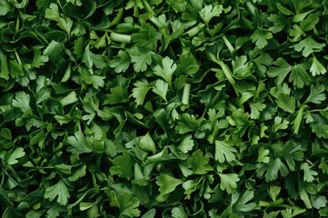 Obraz premium Diced Parsley - Nutritious Greens