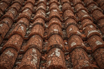 Background with Aged Roof Tiles