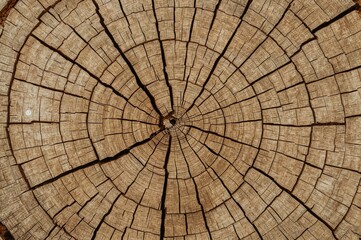 Fototapeta premium Composite image of aged, cracked brown wooden surface texture. Suitable as a backdrop or banner background.