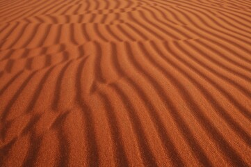 Wind-formed sand patterns with natural textures and earthy tones