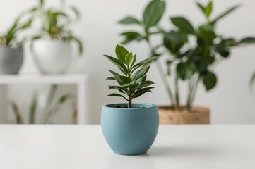 Obraz premium A vibrant picture of a tiny potted plant in a blue ceramic container placed on a white indoor table, with other plants softly out of focus behind it and space for text.