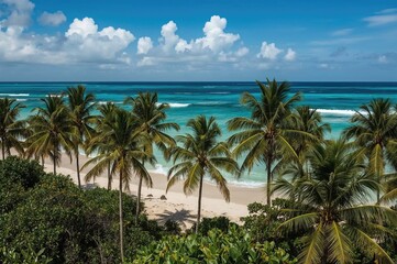 Tropical island covered with palm trees plantation
