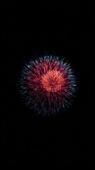 Fototapeta premium Isolated Fireworks Display Exploding Against Night Sky Celebration of Independence Day Event Festival