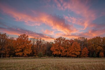 Fototapeta premium Mid-autumn landscape featuring colorful maple trees and a meadow with leaves gently descending, captured during a breathtaking sunset with hues of pink, orange, and blue