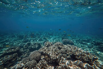 Fototapeta premium Snorkeling over vibrant coral formations and underwater lagoons