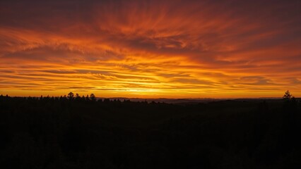 Obraz premium Wide View of Forest Silhouette Under Radiant Orange and Yellow Sky During Sunset or Sunrise
