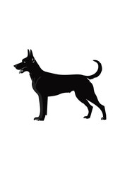 Belgian Malinois dog line vector illustration white background	