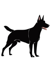 Belgian Malinois dog line vector illustration white background	