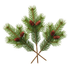 Christmas pine branches with cones isolated