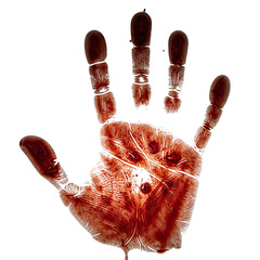 Bloody handprint on a white background