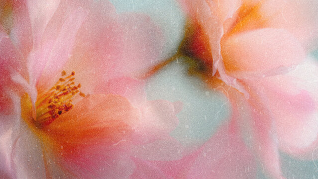 Soft Blurred Y2K Florals Vintage Backgrounds
