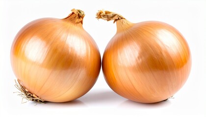 Fresh onion with brown skin round shape natural roots layered texture organic vegetable and detailed food isolated on white background
