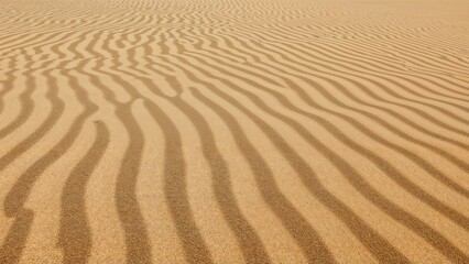 Ripple patterns formed on sandy dunes