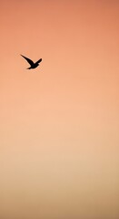 Fototapeta premium Bird in Flight A Minimalist Phone Wallpaper Portrait