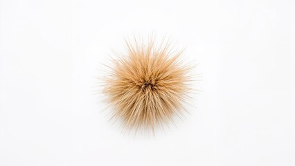 Fototapeta premium Smooth wheat bran set on a white background