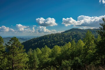 Scenery of forested hills under a clear blue sky