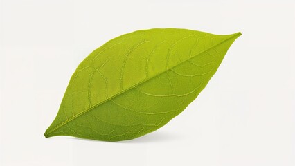 Obraz premium Photo of a green soursop leaf on a white backdrop