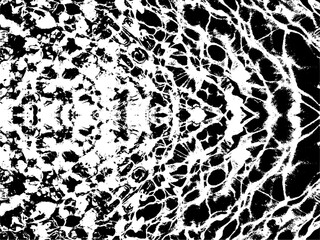 seamless leopard print. transparent Realistic blue water texture PNG with natural light reflections soft ripples on the surface. Ideal for summer, pool, ocean, or aquatic-themed backgrounds and design