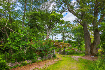 Villa located in forest with large moss covered rock and surrounded by old wooden fence under tall trees. Sweden.