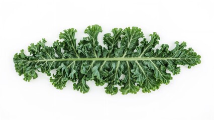 Fototapeta premium Creative arrangement of kale leaf as a vegetable salad ingredient on white.