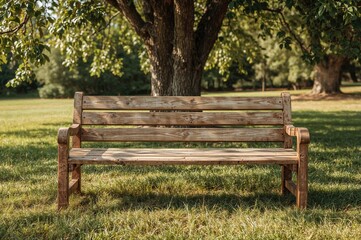 A sunlit aged wooden seat outdoors