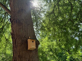 Beautiful wooden birdhouse on tree in park