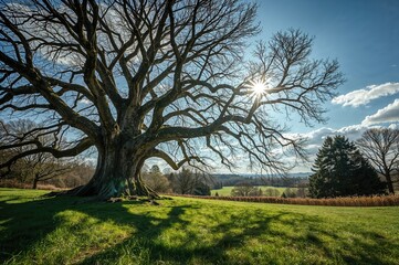 Obraz premium A magical forest scene from a kids' story featuring a huge tree with many limbs, lush grass, a clear blue sky, and radiant sunlight.