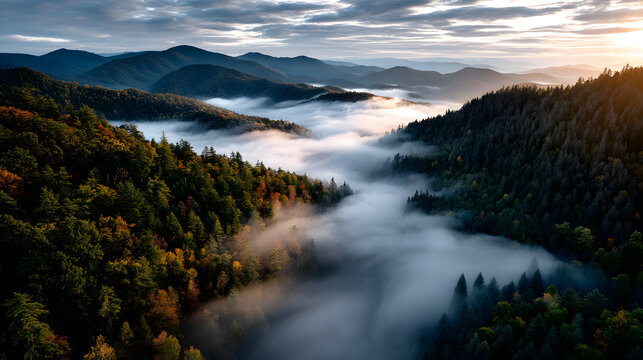 A tranquil autumn morning with fog swirling around glden forests, revealing montain ridges in the distane as the sun rises.