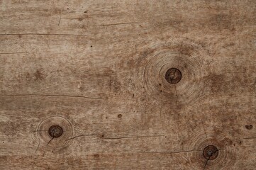 Rustic Timber Surface