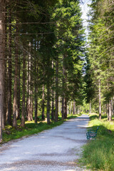 Hiking Cortina d'Ampezzo - Italy