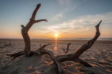 A peaceful evening glow over a sandy shore, bordered by aged driftwood, with the sun spreading a gentle light across the horizon and the sky tinted with delicate pastel colors.