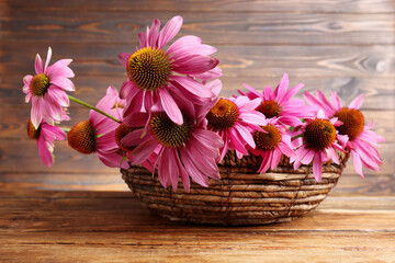 Beautiful Echinacea flowers in wicker basket on wooden table, closeup