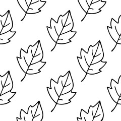 Fototapeta premium Seamless Pattern of Autumn Leaves Drawn in Thin Black Lines Vector, Autumn Leaves Seamless Vector, Fall Foliage Pattern Vector, Thin Line Autumn Leaf Vector