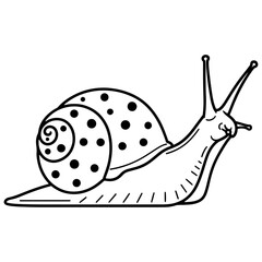 A clean, black and white line art illustration of a snail with a spotted spiral shell in a side view.
