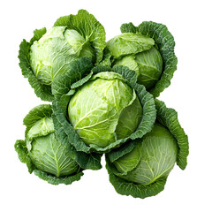Fototapeta premium Fresh Green Cabbages with Crisp Leaves Isolated - Professional Food Photography