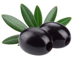 Ripe two black olives with olive leaves on a white background.