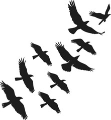 Silhouetted birds in flight, minimal nature art, black and white wildlife, diagonal motion, elegant avian pattern, peaceful sky composition