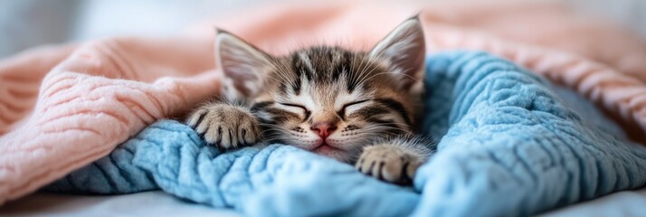 A cute kitten sleeping on the bed, covered with soft blue and pink blankets