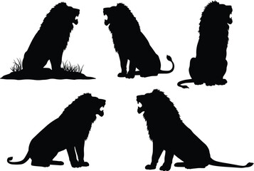 Vector set of roaring lion silhouettes sitting and standing in grass, detailed mane, wildlife, safari, jungle, big cat animal design