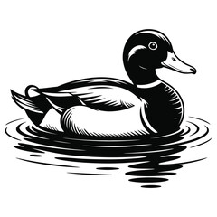 duck on white background