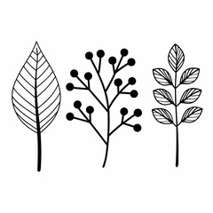 Eco Branches and Leaves Outline Icon Bundle