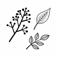 Eco Branches and Leaves Outline Icon Bundle
