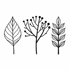 Eco Branches and Leaves Outline Icon Bundle